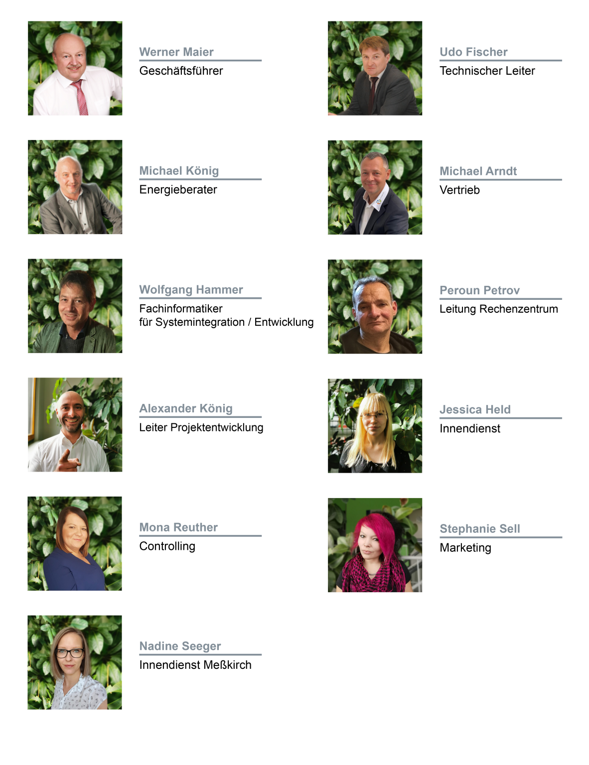 WUMM GmbH Strom und Gas für Groß und Klein